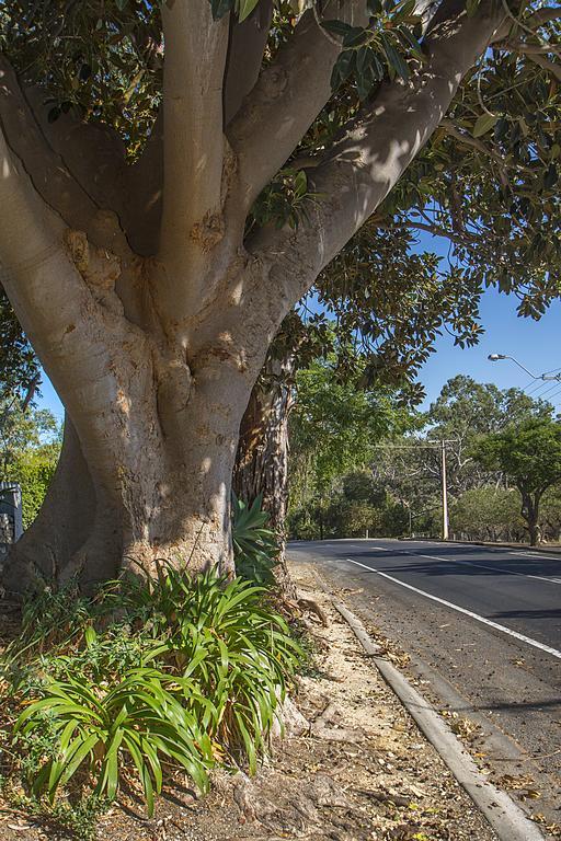 Stoneleigh Cottage Bed&Breakfast Angaston Exterior foto